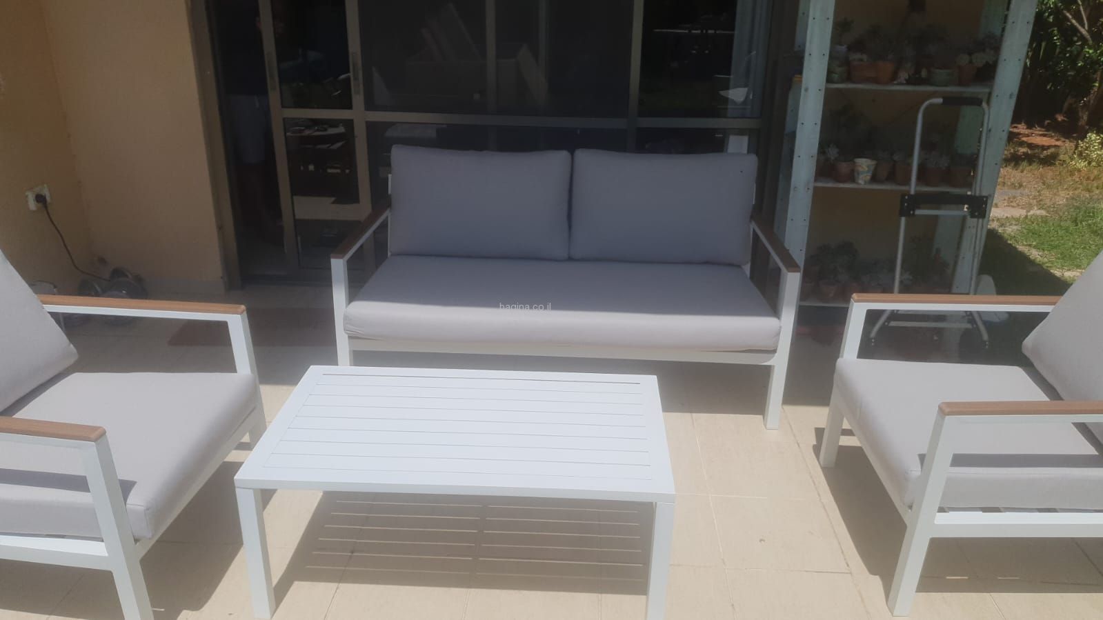 ���� ����� ��� "����" �� �����