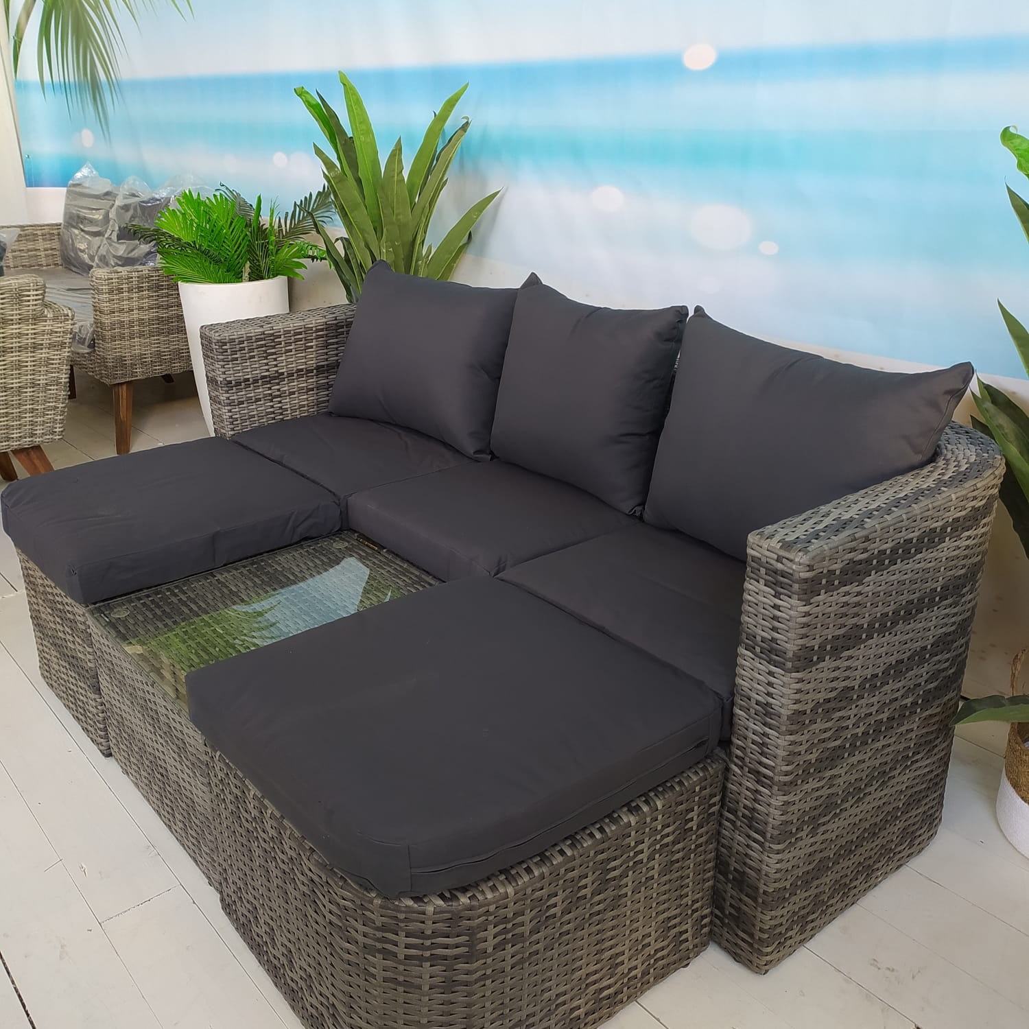 ���� ����� ��� "�������"