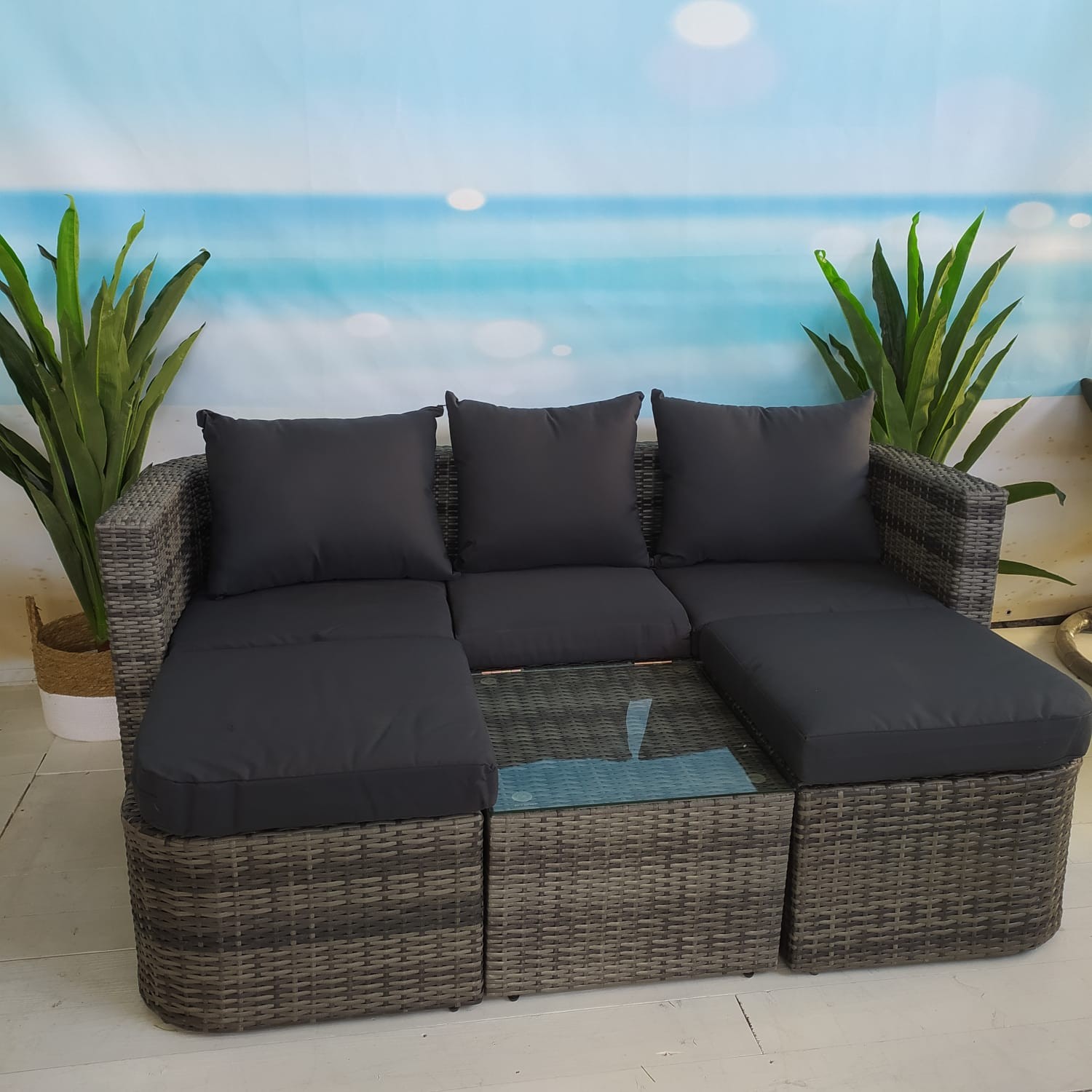 ���� ����� ��� "�������"