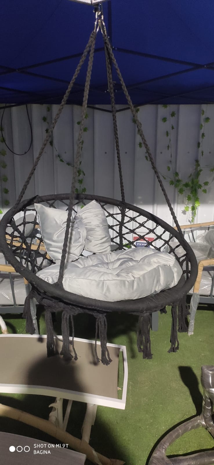 ���� �����