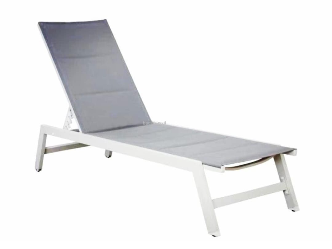 ���� ����� ���� 