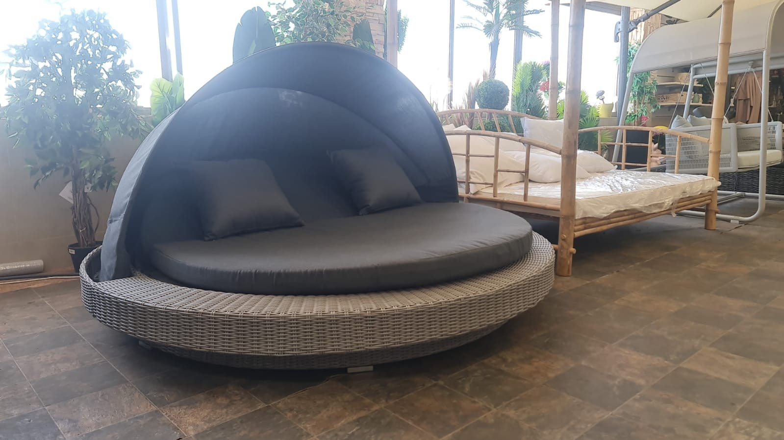 ���� ����� ��� "����"