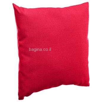 ���� ��� ��� �����