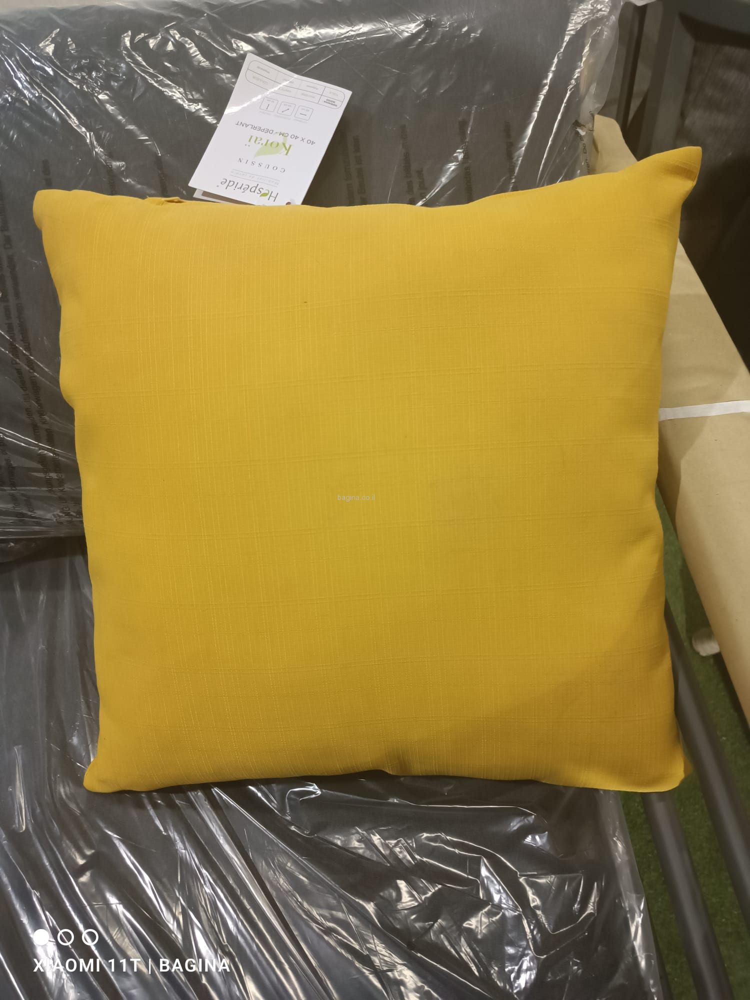 ���� ��� ��� �����