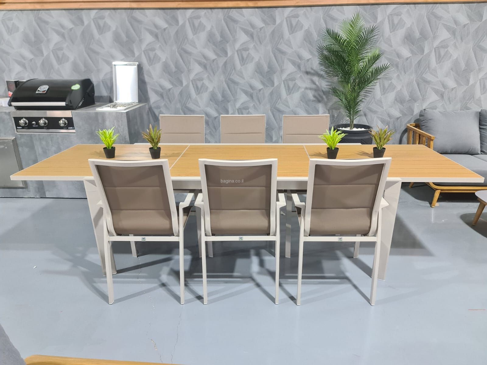 ����� ���� ����� ��� ������� 6 �����