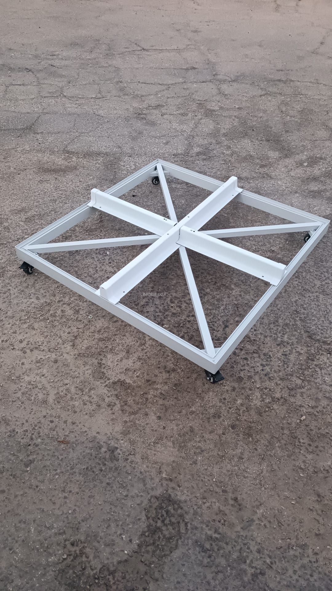 ���� ������ ������ ����������