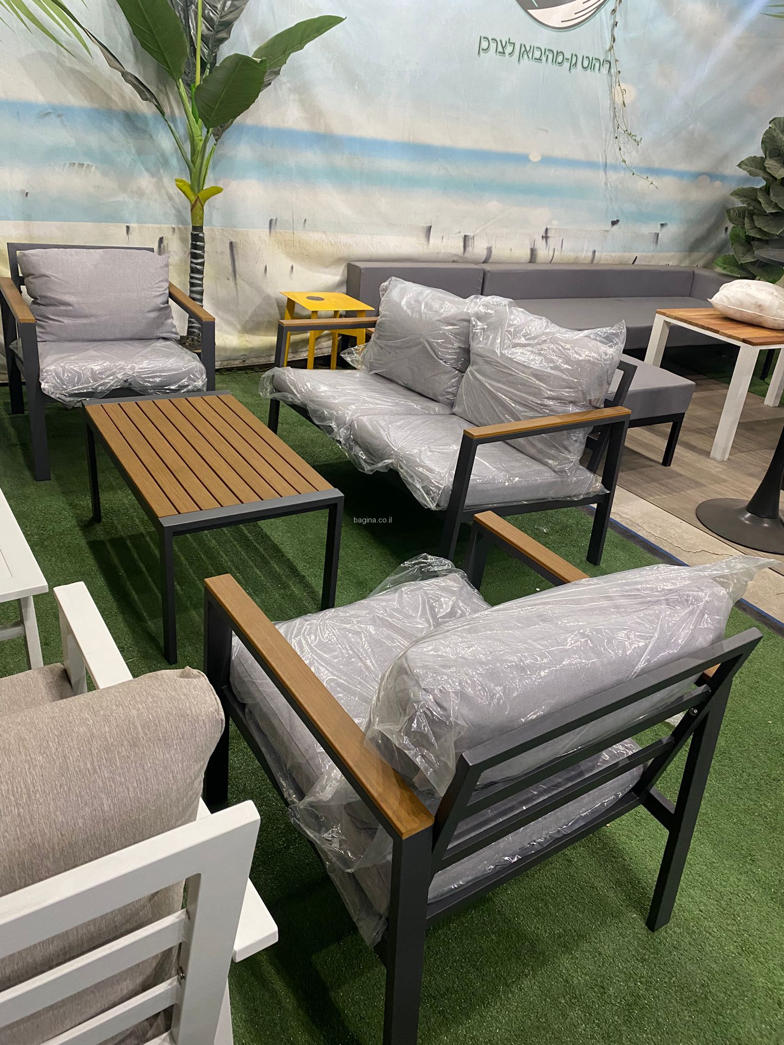 ���� ����� �� ��� "������"