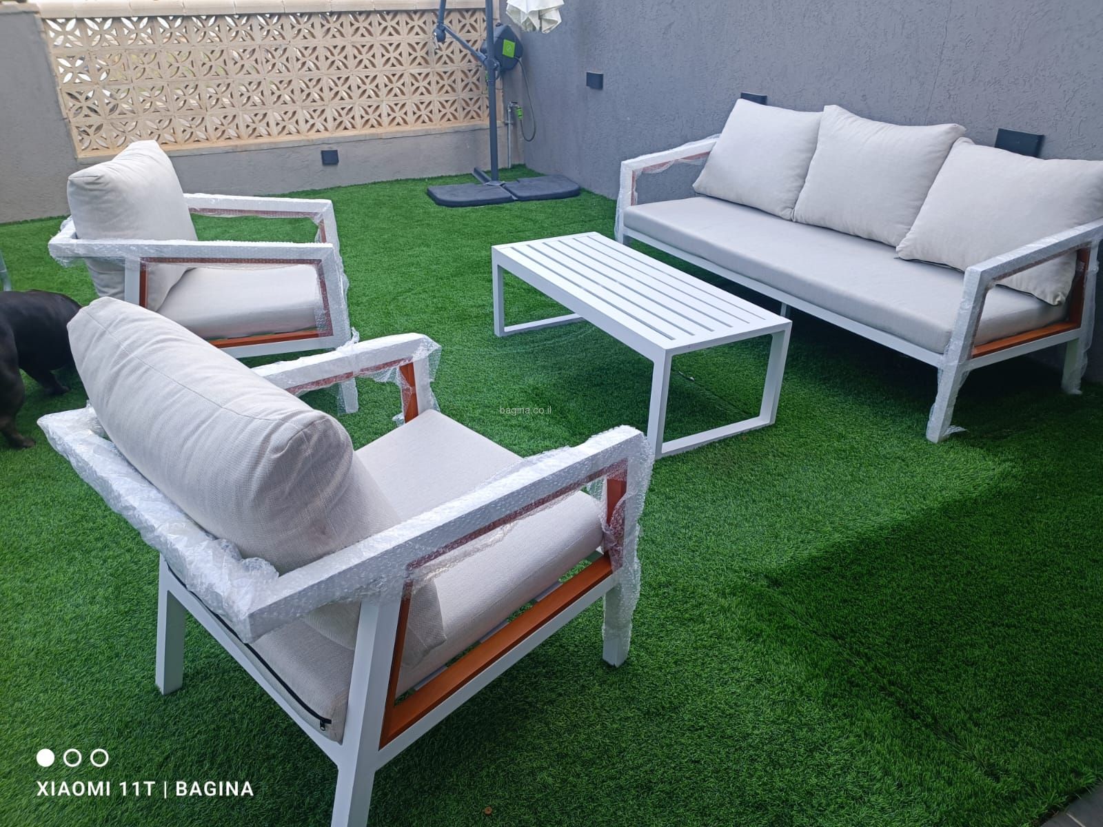 ����� ���� ��� ��� "�����" ��� �����