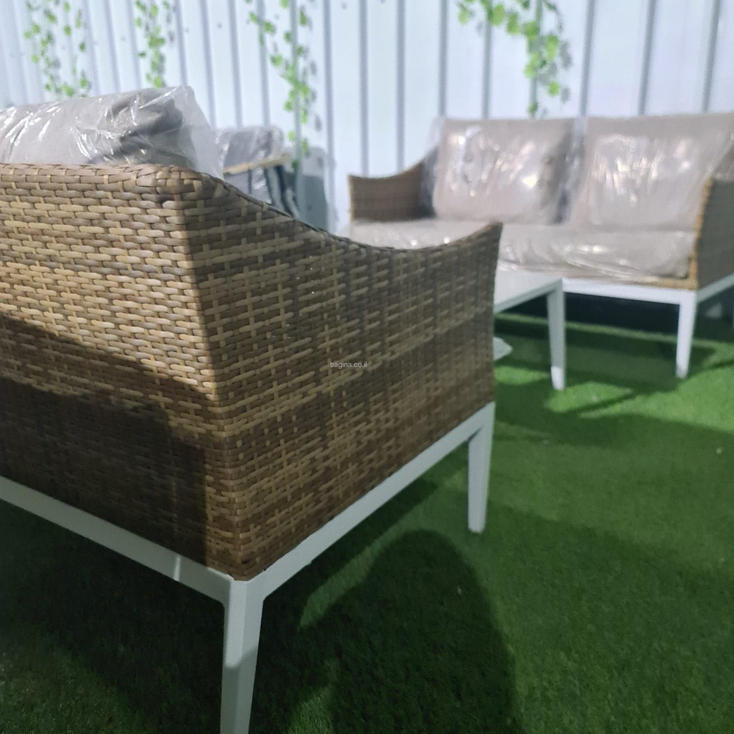 ����� ����� �� ������ ��� ��������