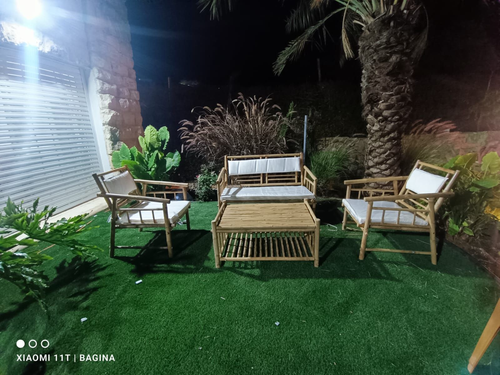 ����� �� ����� ������ "�����"