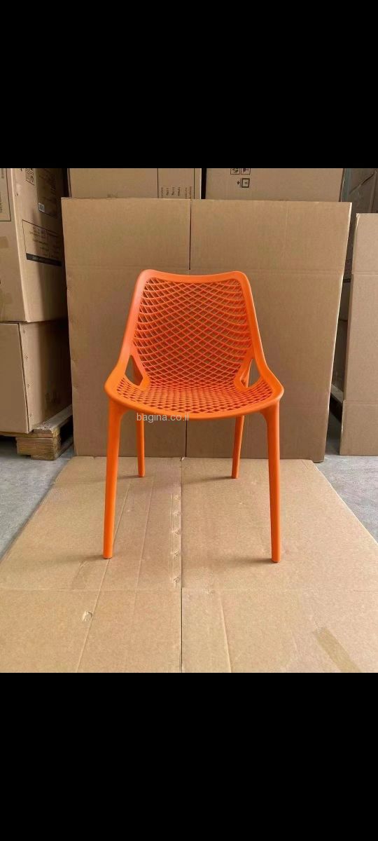 ���� ������ ���� ��� "����" ����� ����