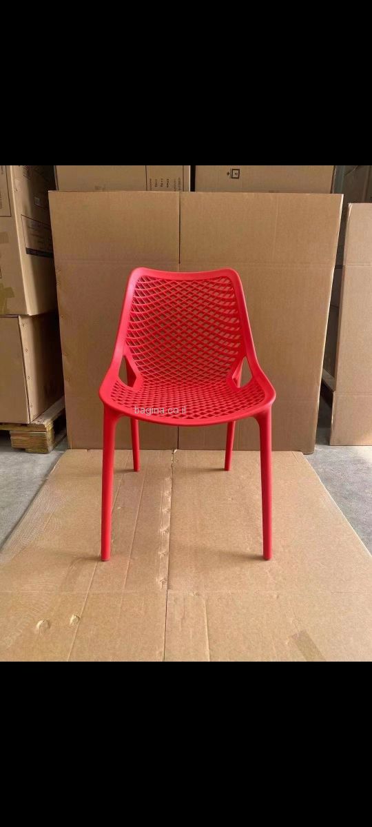 ���� ������ ���� ��� "����" ����� �����