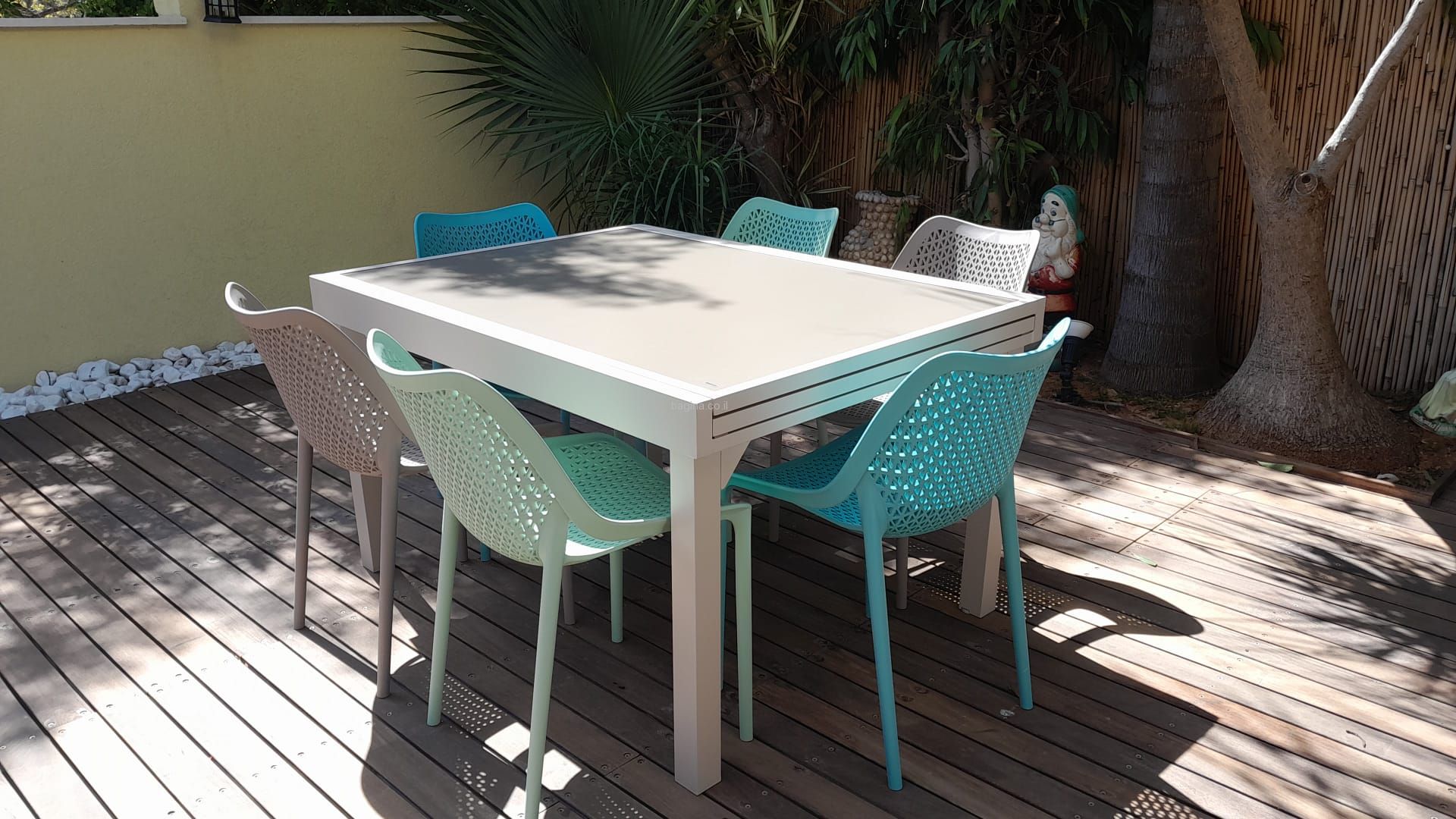 ����� ���� "����" �� 6 ������ ���