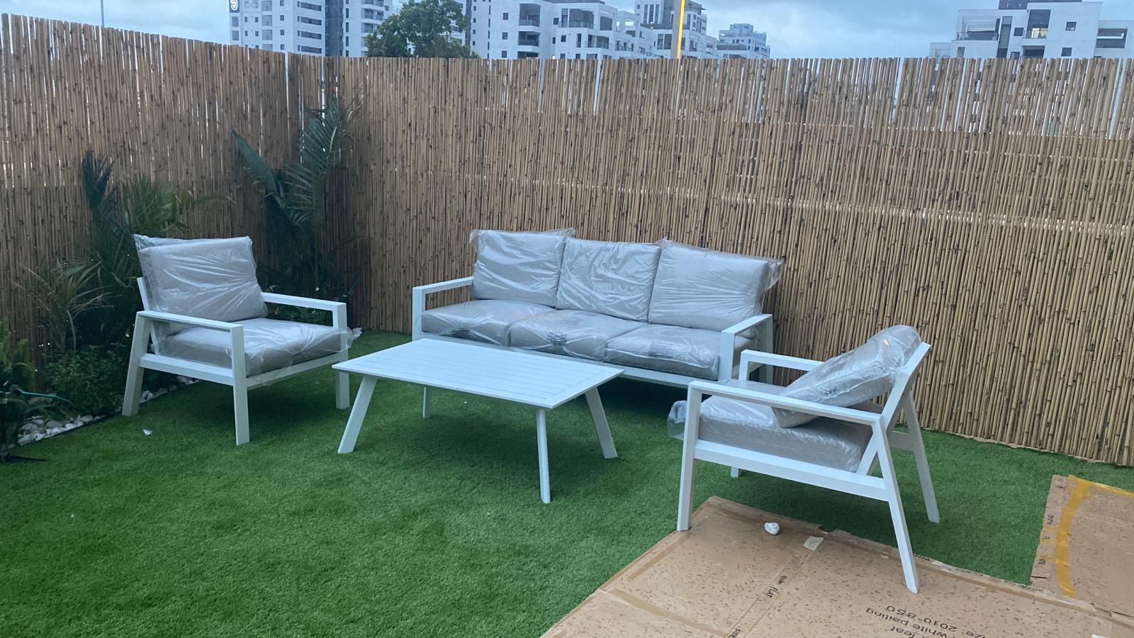 ����� ����� ��� "����" ���������