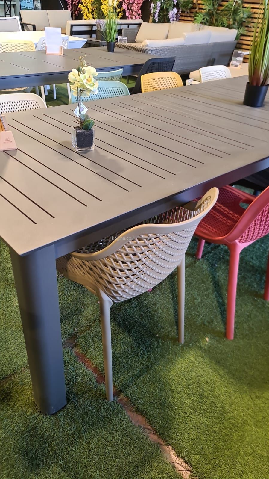 ���� ������ ���� ���� �� ����