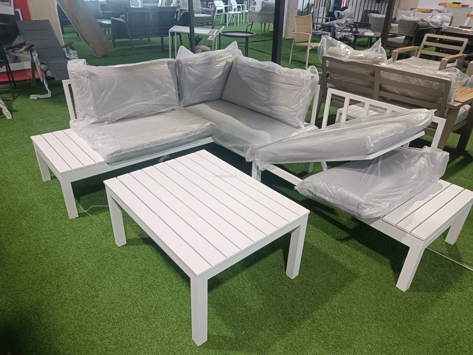 ����� ����� ������ ��� "�����"