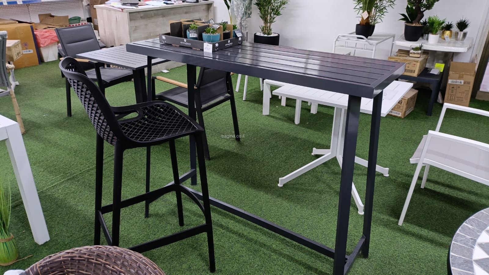 ���� �� ������ ���� ��� "����"