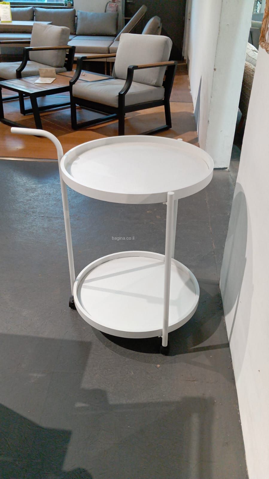 ���� ����� ����� ����������