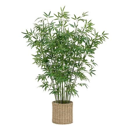 �� ����� ������� ���� �� ���� 150 ��