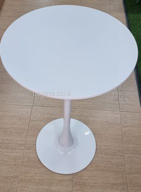 ����� ������ ����� ����