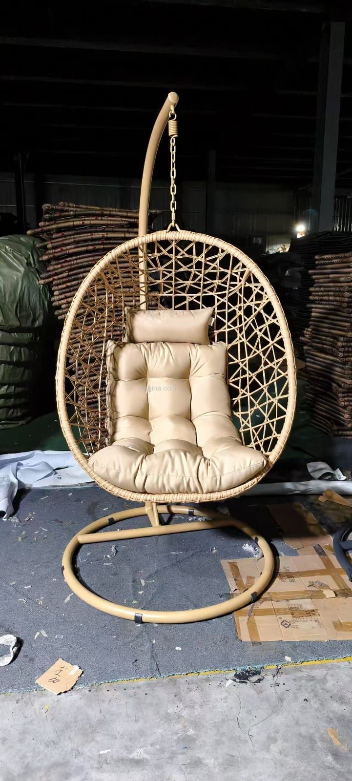 ���� ����� ���� ���� ����