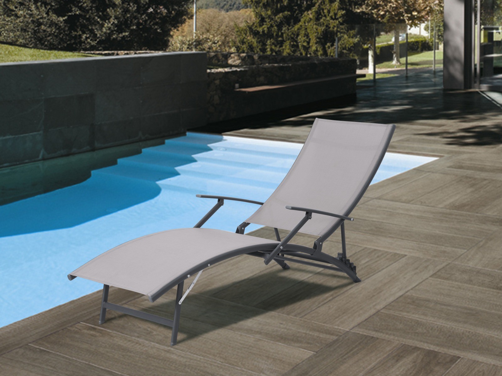 ���� ����� �������