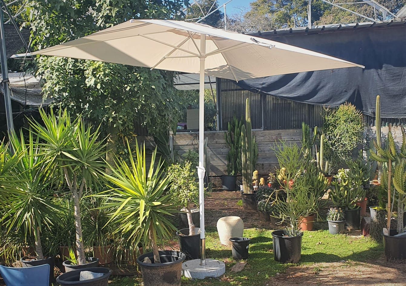 ������ ���� ����� 3X2 ��� | ��� ����� ����� ��