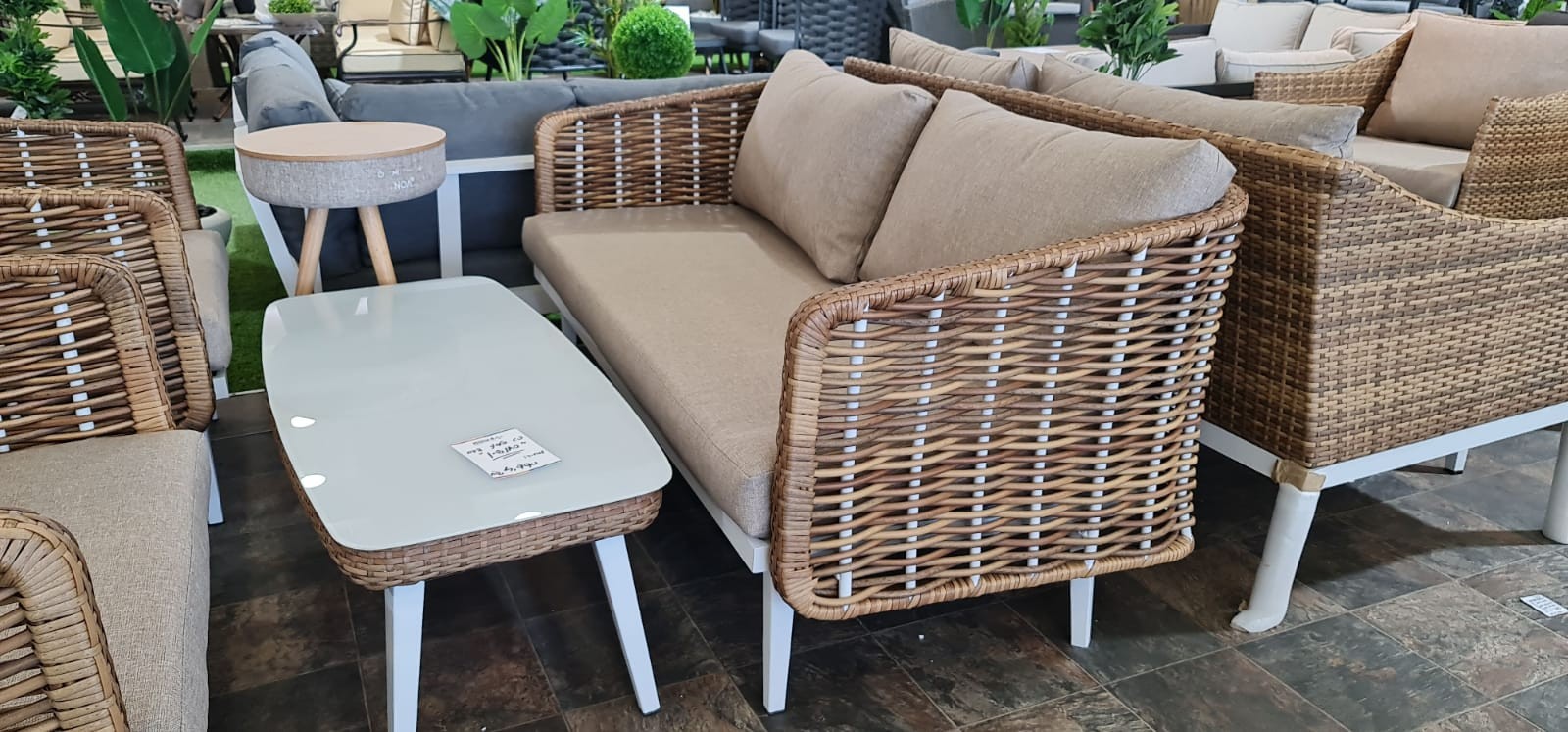 ���� ����� ��� ����