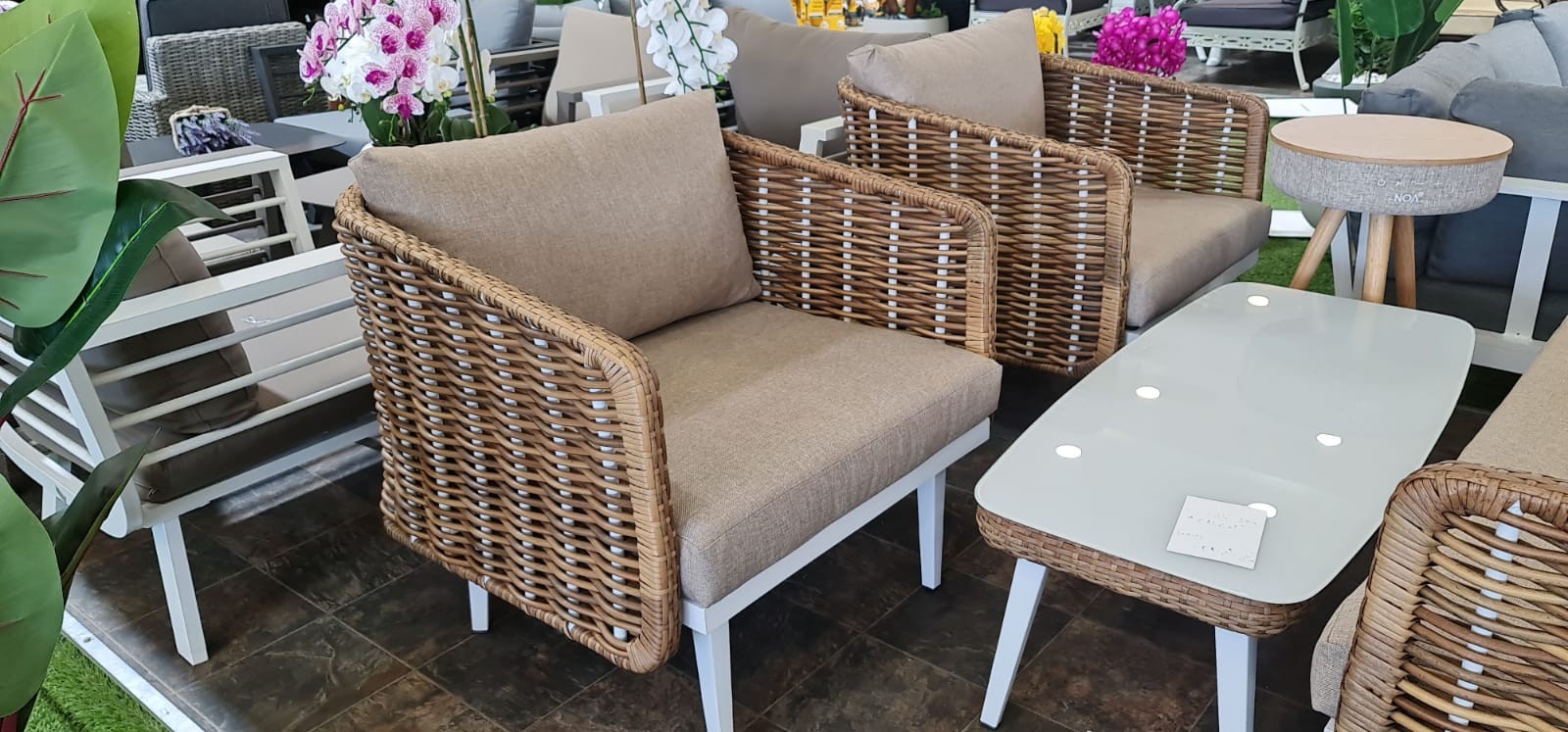 ���� ����� ��� ����