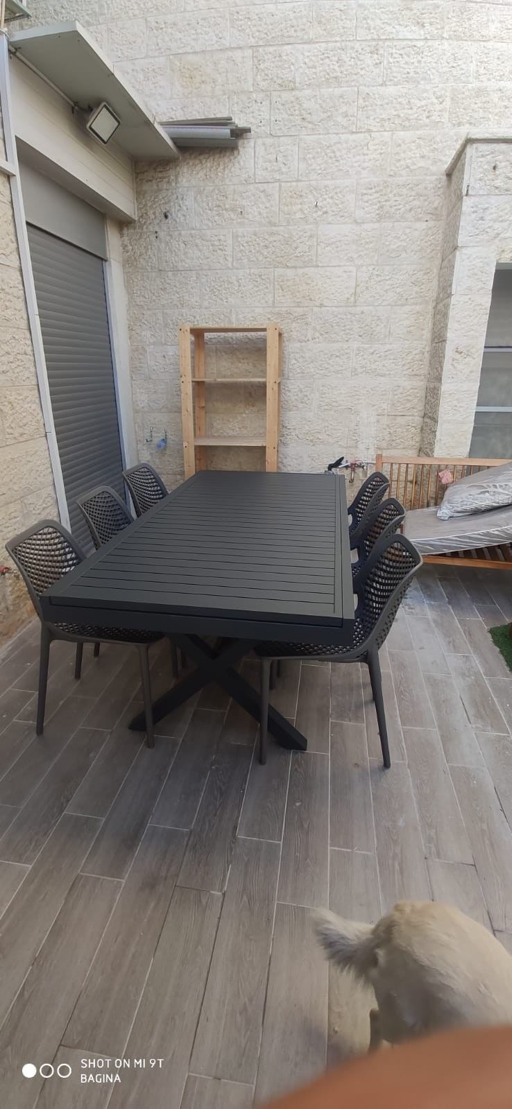 ����� ���� ����� ��� ���� 6 ������ �� �����