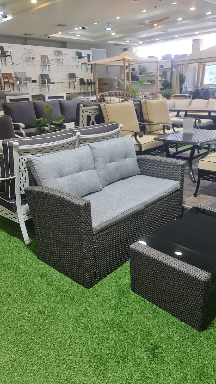 ���� ����� ���� ��� �����